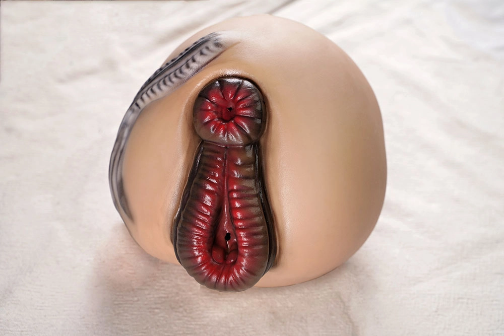 Dolls Castle 可憐 小さめ セックスドール